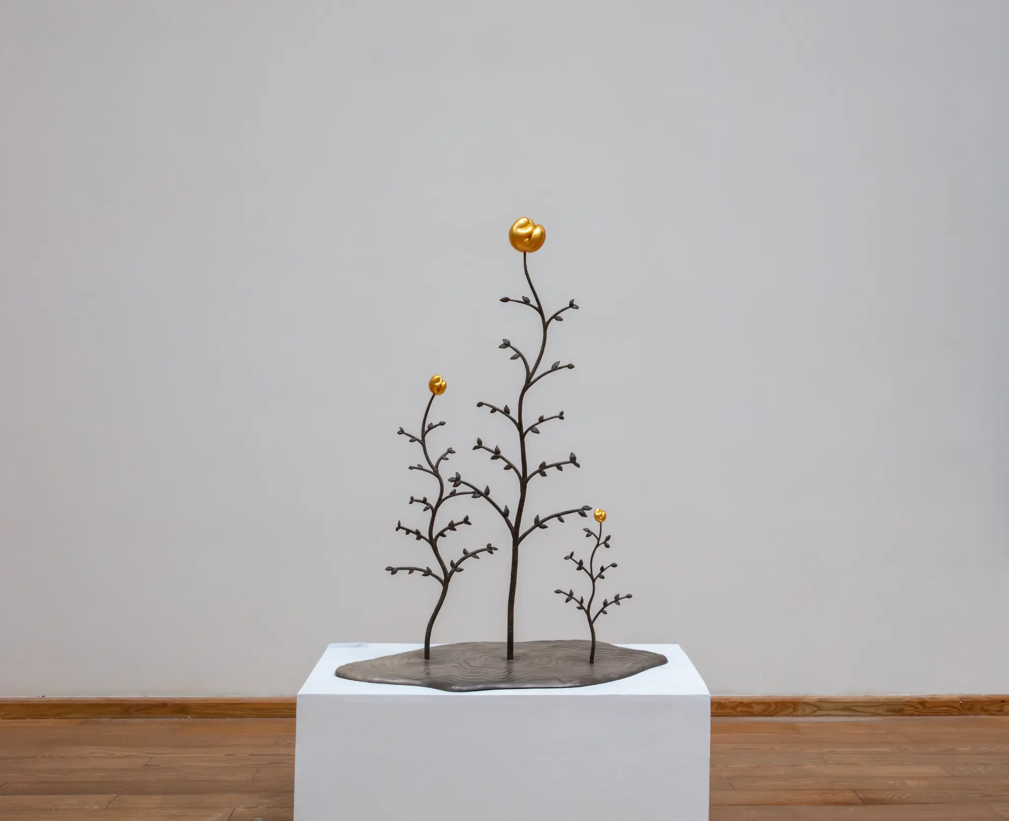 팡쉬의 2023년 조각 《자유로운 성장 No.1》. 금박을 입힌 청동, 74 × 47 × 99 cm(29.1 × 18.5 × 39.0인치).